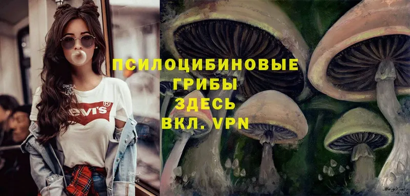 Галлюциногенные грибы Magic Shrooms  Дивногорск 